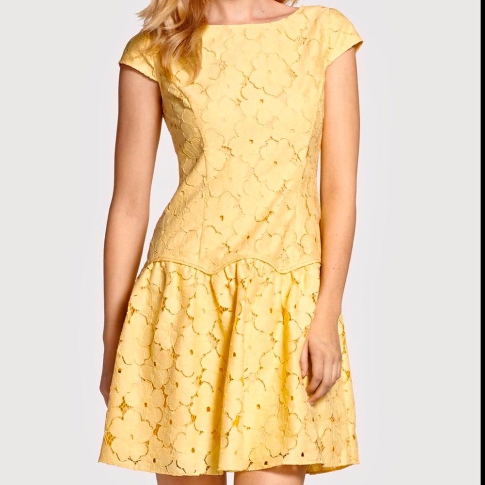 Adriana Papell  Lace Drop Waist Dress New!